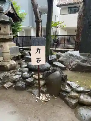 鳩ヶ谷氷川神社の{uncategorized: "未分類", other: "その他", undefined: "問題あり", building: "その他建物", grave: "お墓", sacred_gate: "鳥居", guardian: "狛犬", statue: "像", buddha: "仏像", history: "歴史", nature: "自然", garden: "庭園", animal: "動物", pagoda: "塔", temizu: "手水舎", mountain_gate: "山門・神門", sanctuary: "本殿・本堂", subordinate: "末社・摂社", art: "芸術", scenery: "景色", jizo: "地蔵", ema: "絵馬", goshuin: "御朱印", omikuji: "おみくじ", items: "授与品その他", amulet: "お守り", goshuincho: "御朱印帳", eats: "食事", festival: "お祭り", votive_dance: "神楽", shichigosan: "七五三参", wedding: "結婚式", experience: "体験その他", initially: "初詣", around: "周辺", anti_infection: "感染症対策"}