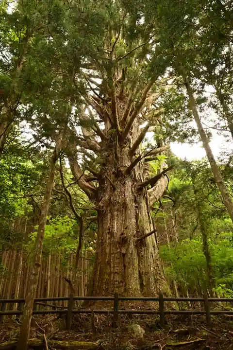 鉾神社(徳島県)