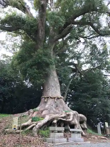 光岡八幡宮(福岡県)