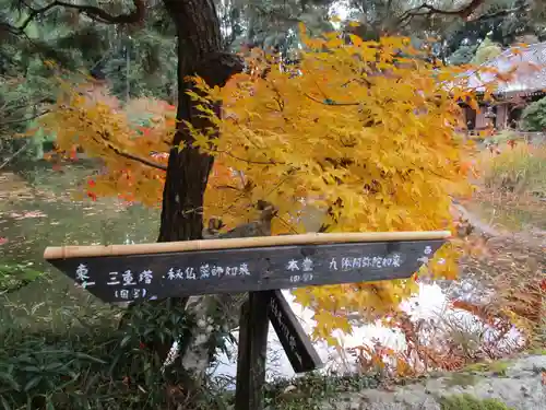 浄瑠璃寺(京都府)