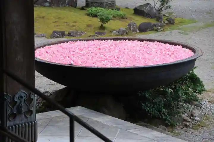 井波別院瑞泉寺のその他建物