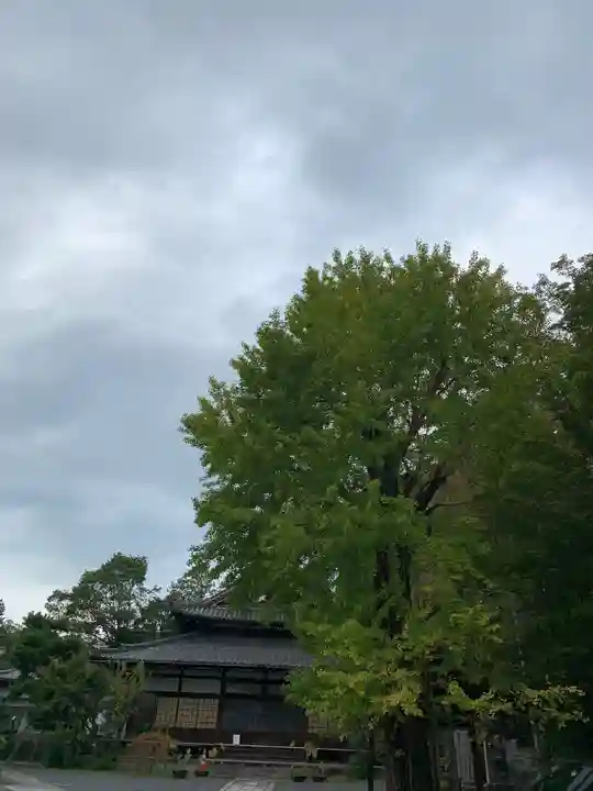東本願寺岡崎別院(京都府)