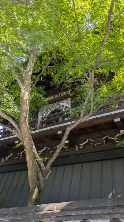 大雲院(京都府)