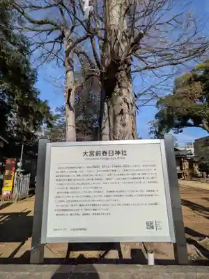 大宮前春日神社(東京都)