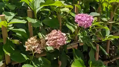 藤森神社(京都府)