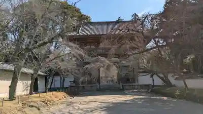 醍醐寺(京都府)