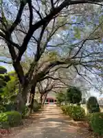 清光寺(埼玉県)