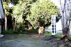 最上稲荷山神社の建物その他