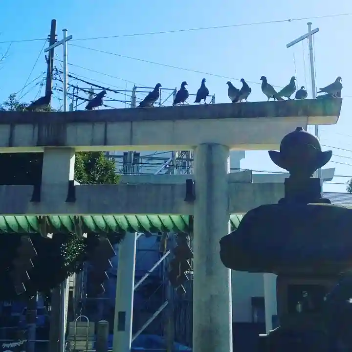 天祖神社の動物