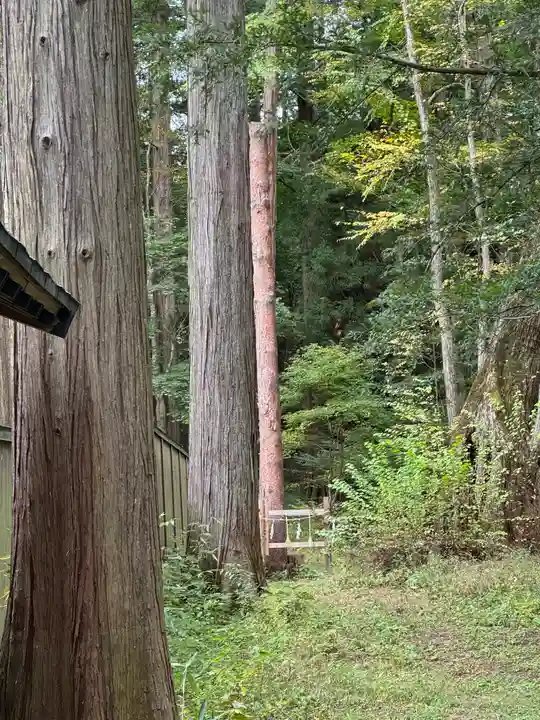小野神社(長野県)