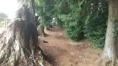 八幡神社(茨城県)