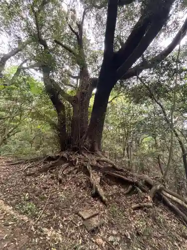 大龍寺(兵庫県)