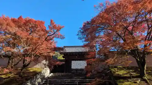 曼殊院門跡(京都府)
