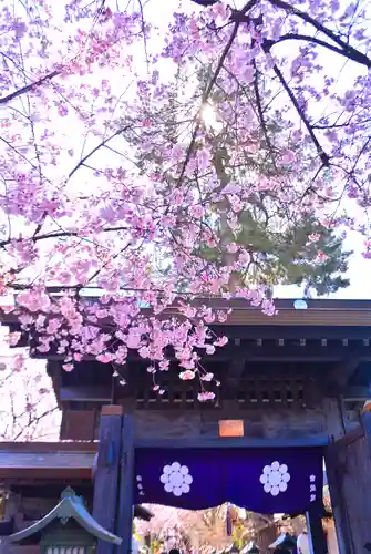 密藏院(埼玉県)
