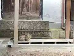 神戸神社の動物