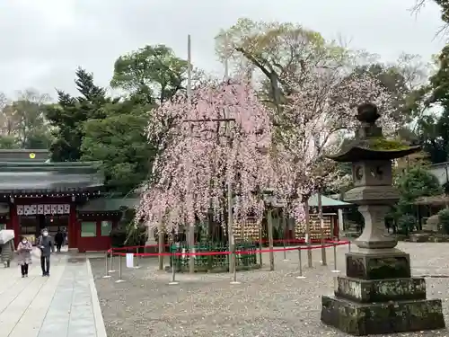 大國魂神社(東京都)