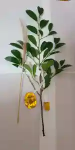 出雲大社倉敷教会(岡山県)(2026年01月08日(木) 12時09分47秒投稿)