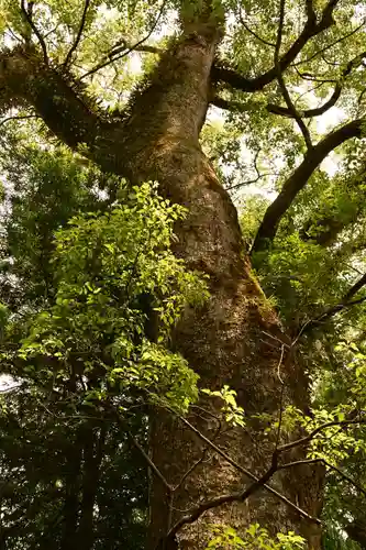 土佐神社(高知県)