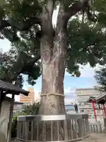 菅原天満宮(大阪府)