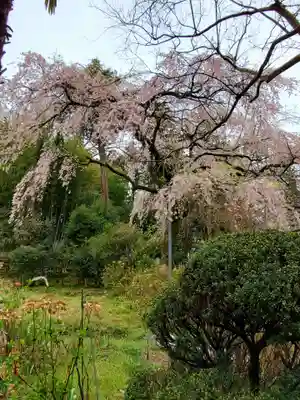 上合寺(福島県)