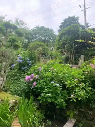 高原寺(兵庫県)