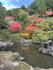 慈照寺（慈照禅寺・銀閣寺）(京都府)