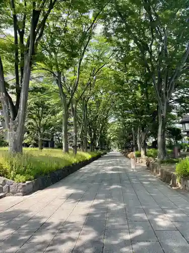 武蔵一宮氷川神社(埼玉県)