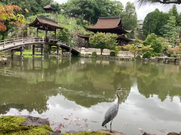 永保寺の庭園