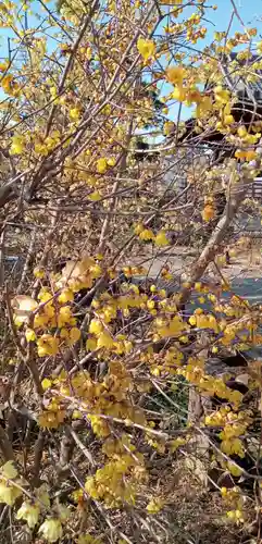 遍照院(埼玉県)