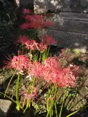 玉鳳寺(東京都)