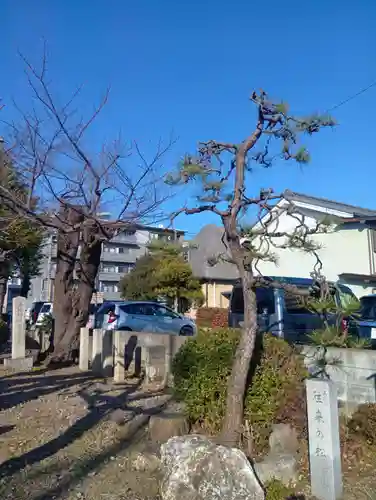 菊地神社(岐阜県)