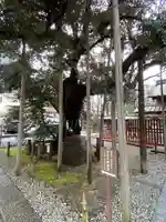 金王八幡宮(東京都)