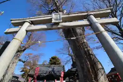 科野大宮社の鳥居