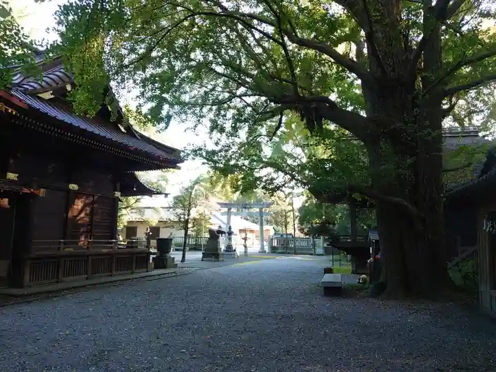 玉敷神社のその他建物