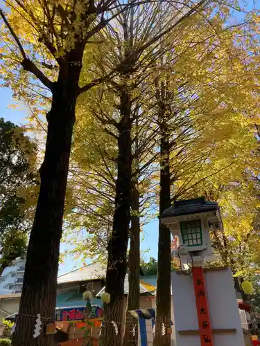 田無神社の自然