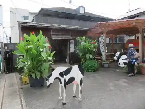 般若寺 ❁﻿コスモス寺❁の芸術