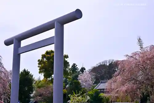 櫻木神社の鳥居