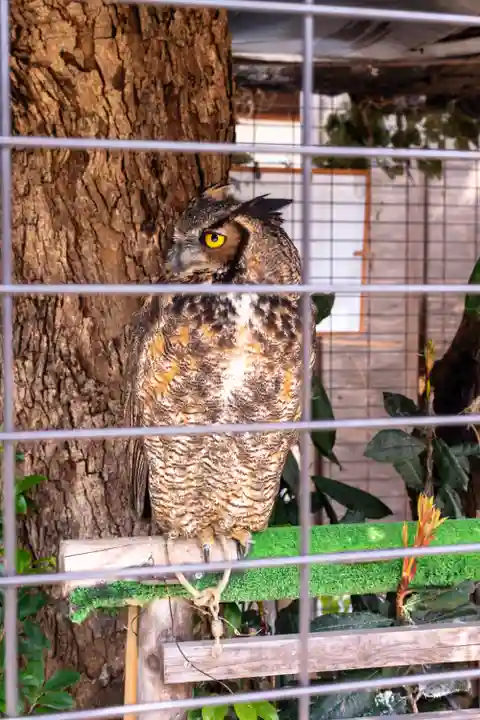 宮地嶽神社(福岡県)