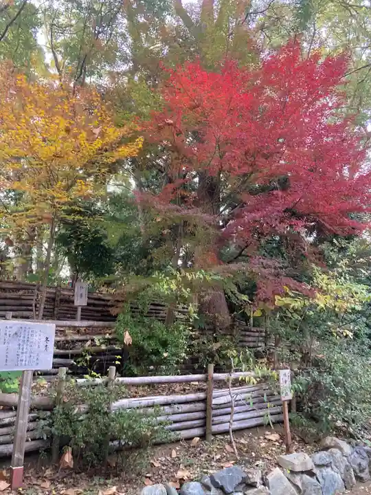 平塚八幡宮(神奈川県)