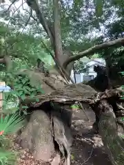 草薙神社(静岡県)