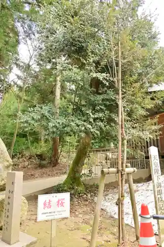 旦飯野神社(新潟県)