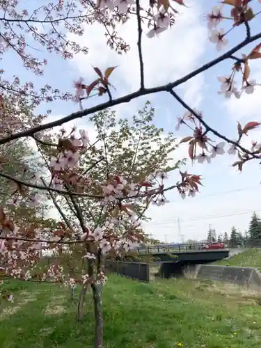 長沼神社の自然