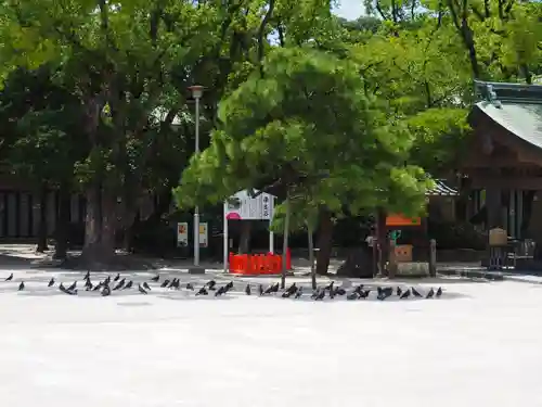 筥崎宮(福岡県)