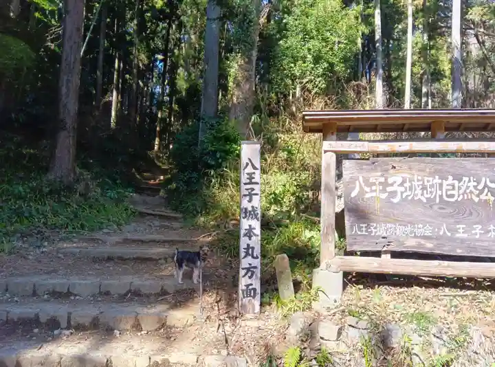 八王子神社(東京都)