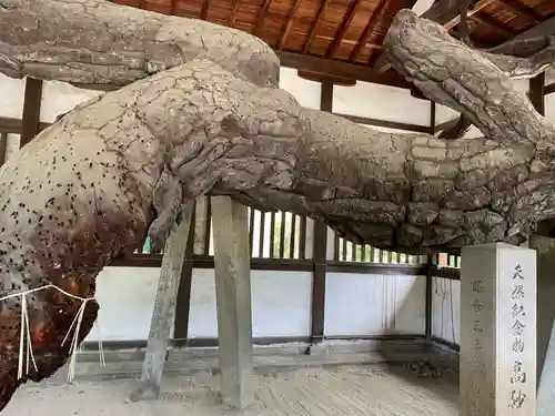 高砂神社の庭園