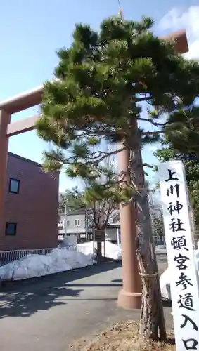 上川神社頓宮の鳥居