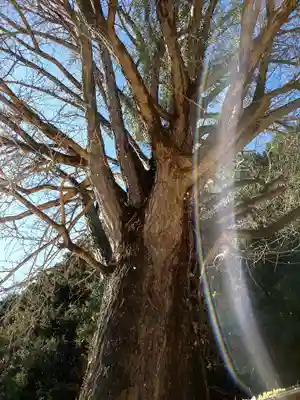 慈徳院(愛知県)