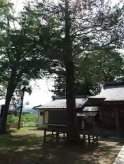 布制神社(長野県)