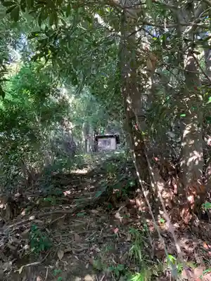 白畠神社の周辺