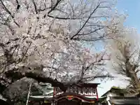 居木神社の自然